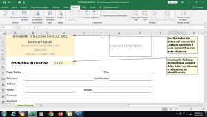 DESCARGUE LA PLANTILLA PROFORMA INVOICE